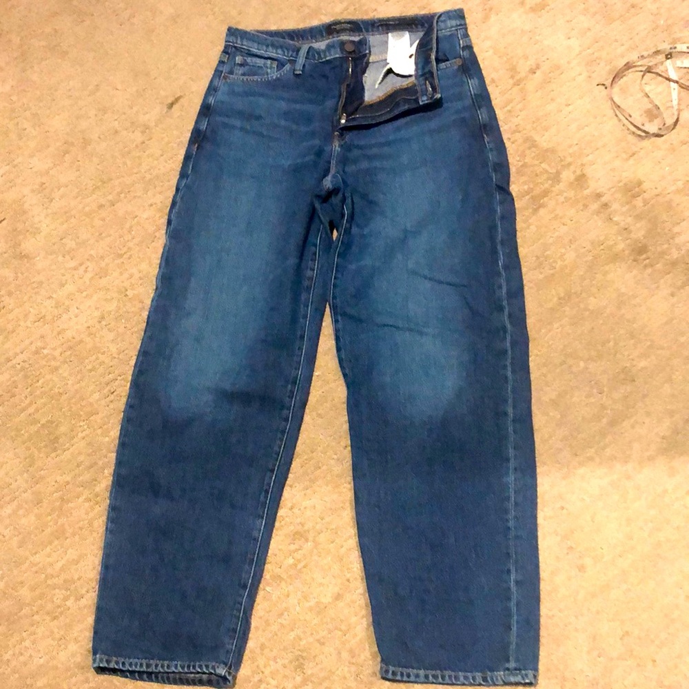 Banana Republic Jeans High Rose Barrel Fit Size 29 Cecilia Wash VGUC